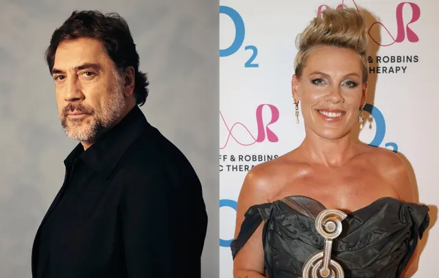 Javier Bardem shares petition to remove Pink as UNICEF ambassador over Macklemore Palestine row
