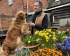 Monty Don steps down from BBC’s Gardeners’ World after 23 years
